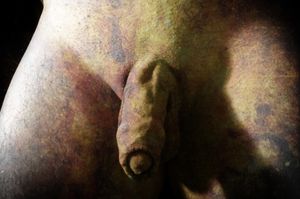 Painted penis