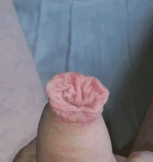 Then he showed me his filthy cock