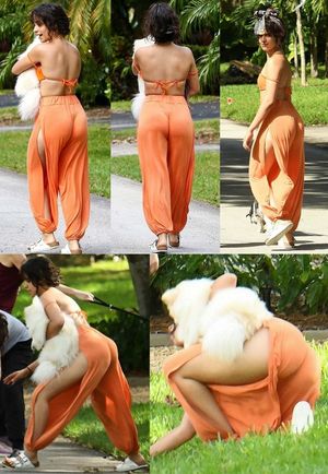 I sogni di culi cubani possono avverarsi