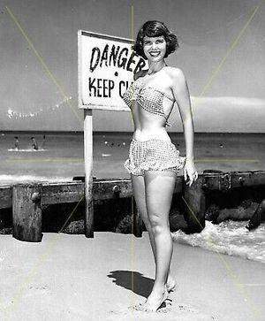 Classic Palmer Pin up