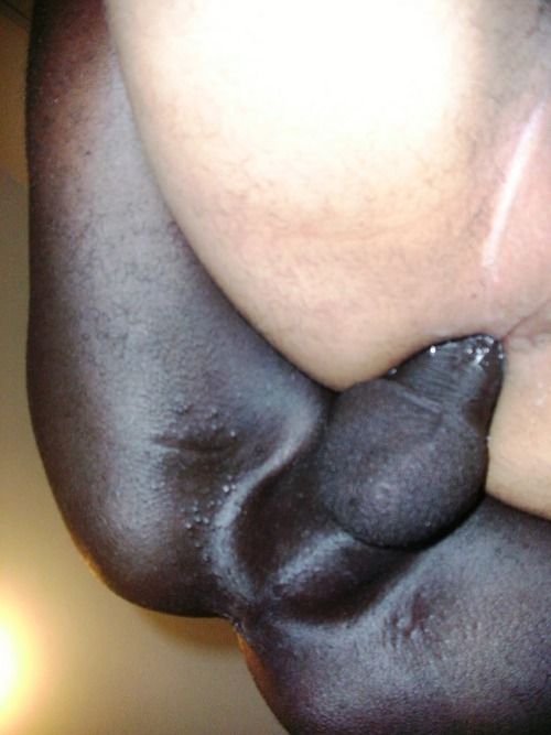 Black bull fucks white ass