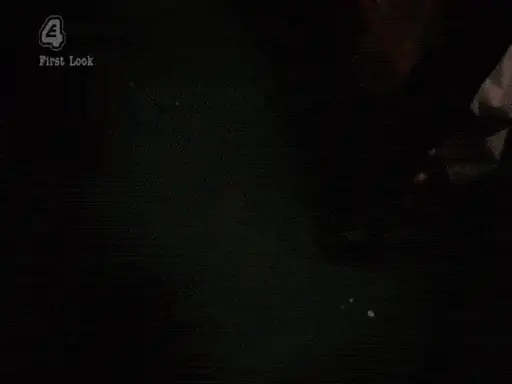 Shameless GIF