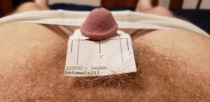 First of the only two dick pics I'm ever going to take...