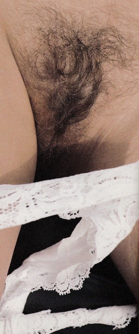 Divy bush...