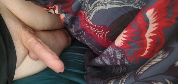 my cock