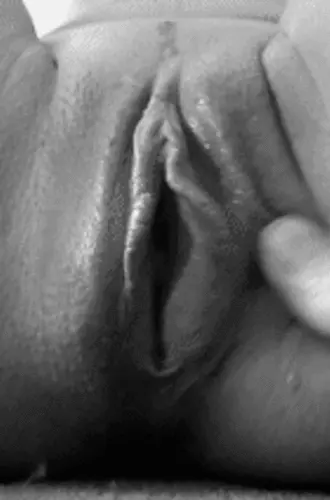 Pussy licking