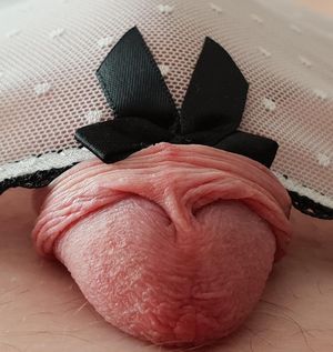 Peeking out of white panties with black bow