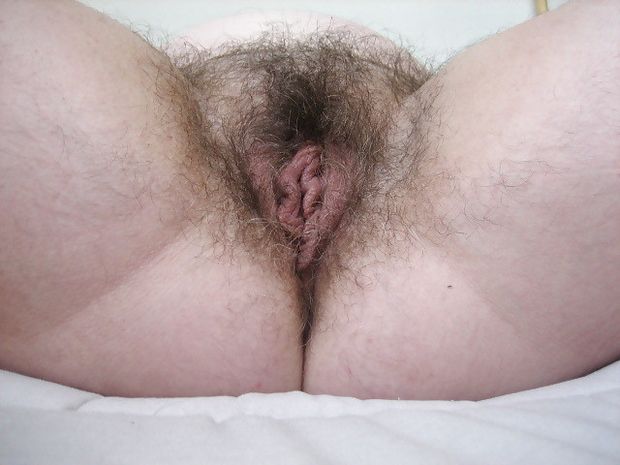 Hairy ass + pussy