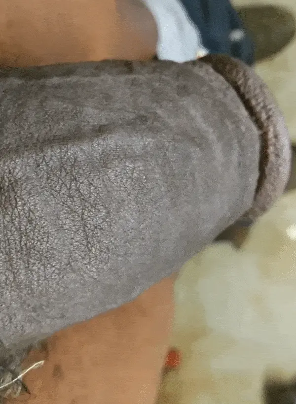 chocolate bar