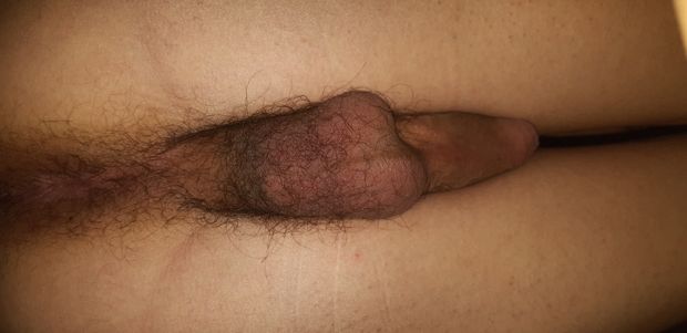 Double see, anus, penis