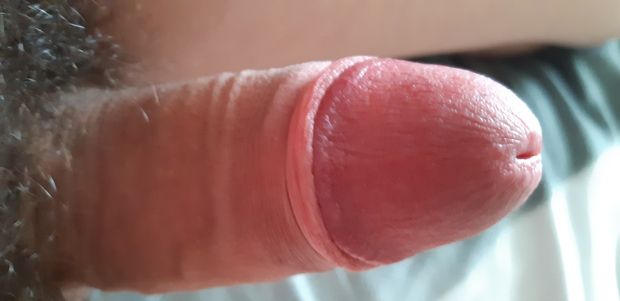 Shiny erected penis