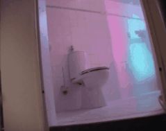 Toilet without paper