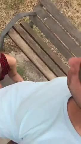 Quick blowjob at the park