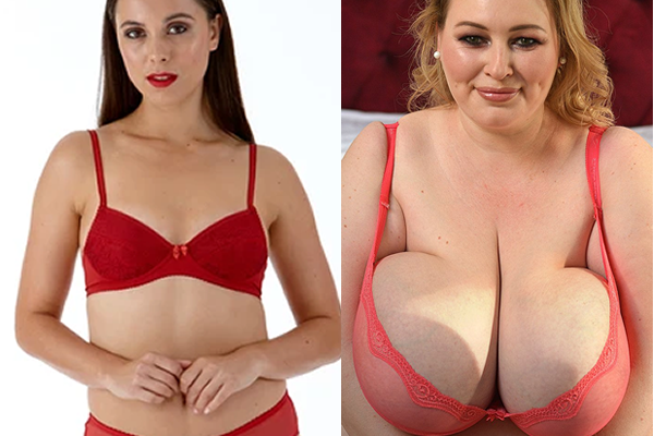 Red bra comparison (Ft. Lily Dream Boobs)