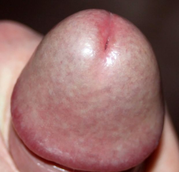 nice Penis