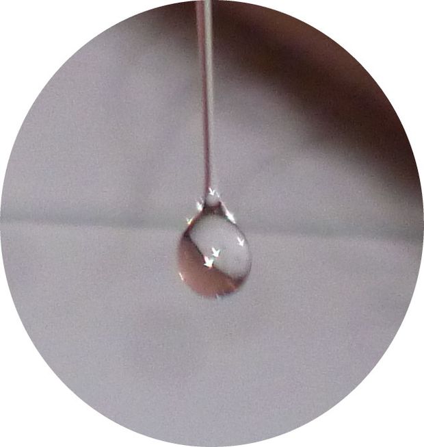 clear drop of precum