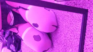 I like cock, add me on kik to be my big bully bf. Kik: LilEyes07