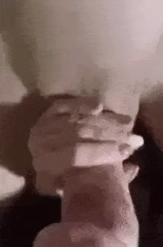 POV Blowjob