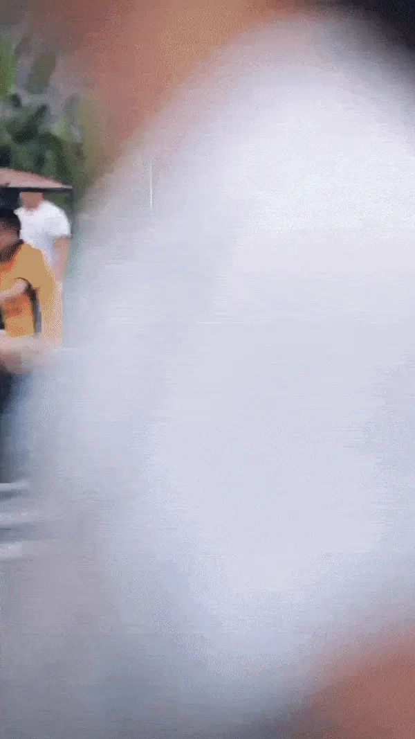 Poetry in motion