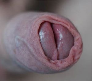 So much fun for my mouth and tongue!