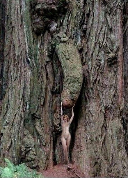 Posing with a woody