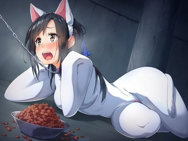 Anime Cat