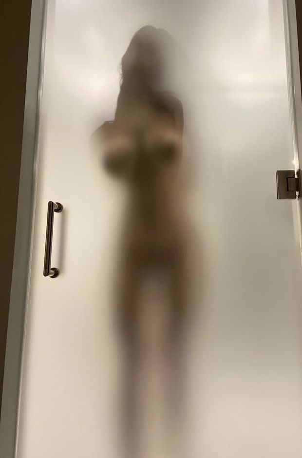 Shower door silhouette