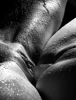 One to please them all