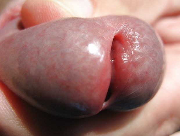 up close double squirter