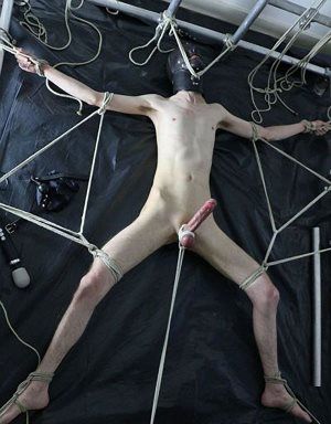 Sex dot com...Stop Requirement of Commenting on the Obvious