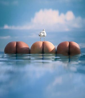 PINNED BY MALOGRADAZO