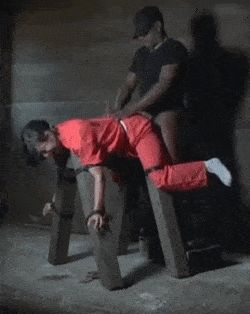 Angela zhu restrained