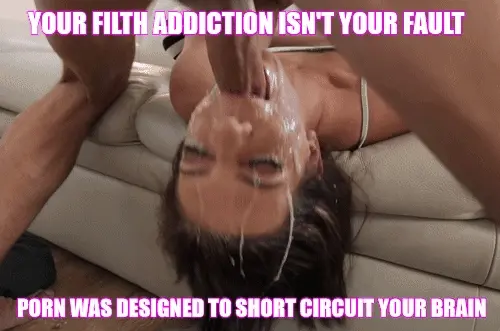 Porn is the apex predator