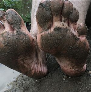 Dirty muddy filthy male barefeet - Manlyfoot - Pornhub
