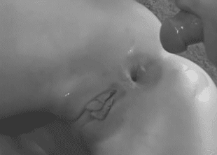 privgif4788