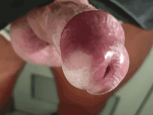ShroomFeeder Picture