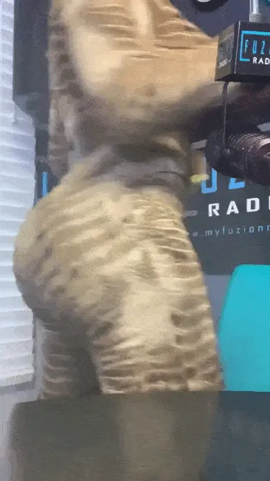 Ass Clap It Ashley