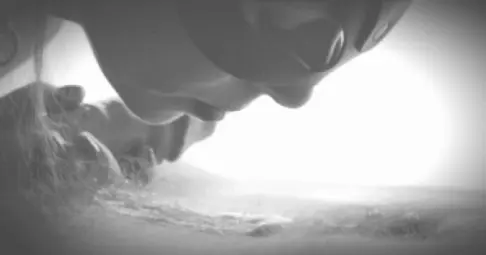 black & white cum taster nov21
