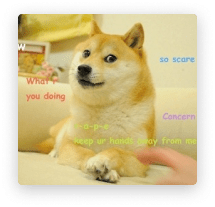 amazing blonde amateur sucks dick(go to site :))