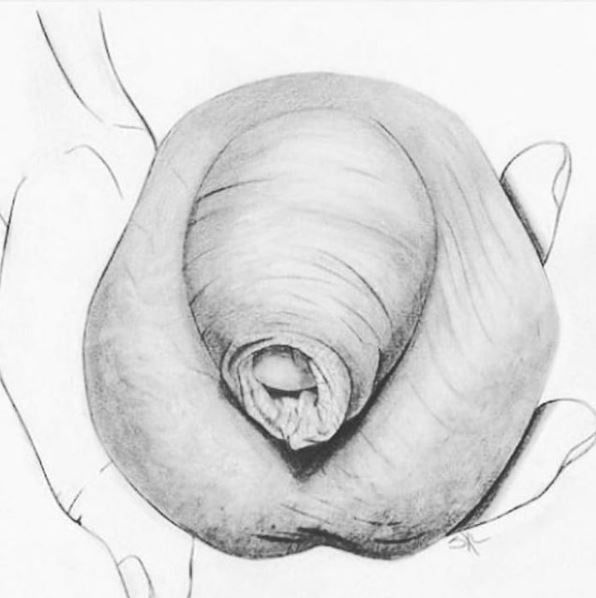 sexy drawings 1