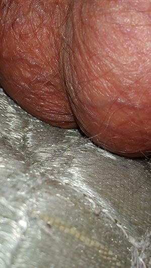 Icameout4 Picture