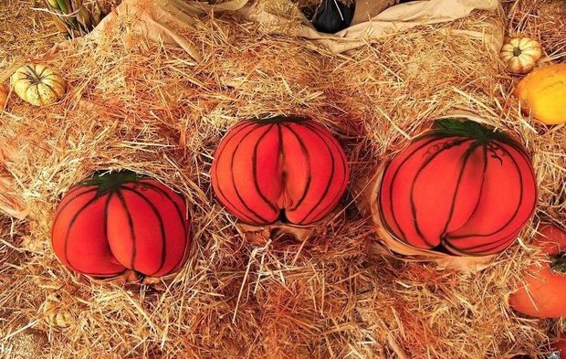 Pumpkin pussy patch
