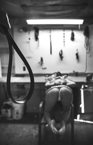 You have chosen wisely