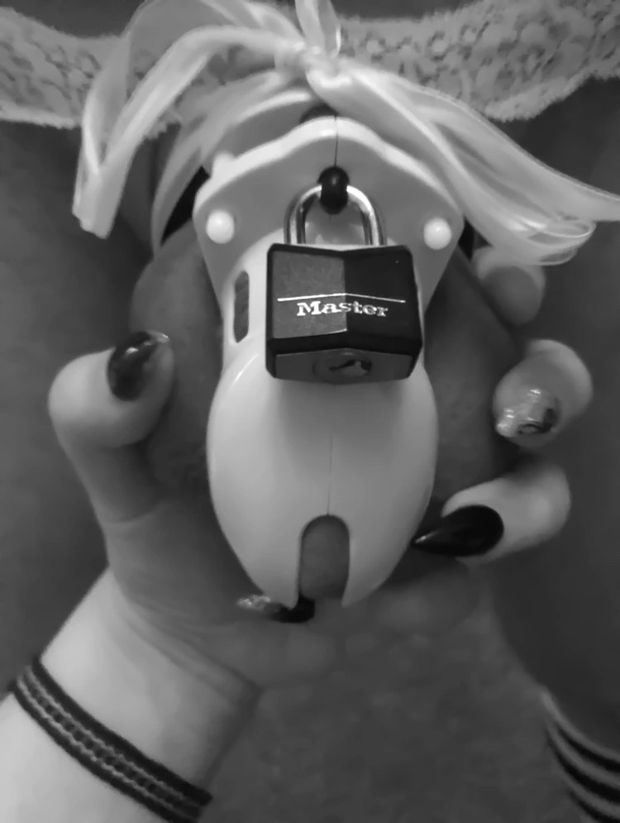 His cock in a chastity cage while wearing panties