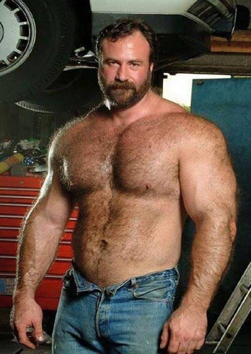 muscle bear