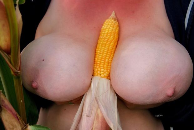 In the field