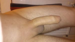 Shaved and half stiff