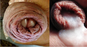 I chew and suck on this till" I get that! Mmmmmm!!