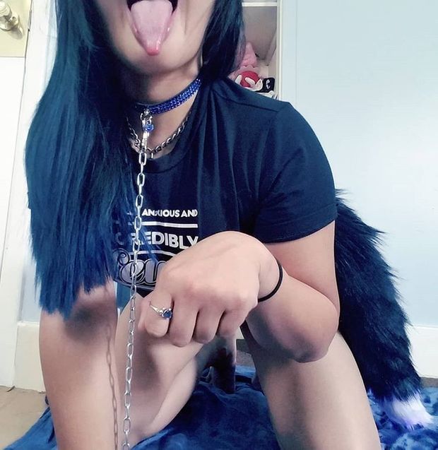 your new pet