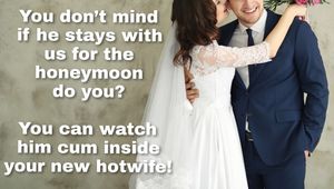 cuck at the honeymoon